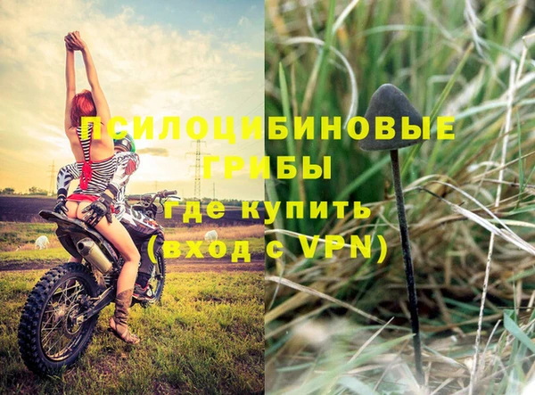 a pvp Козельск
