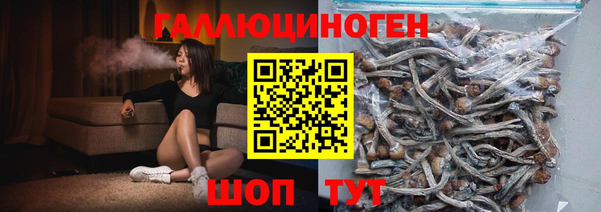 Псилоцибиновые грибы Magic Shrooms  Вход с VPN  Мурманск 